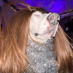 Meet your Posher, Jdndid